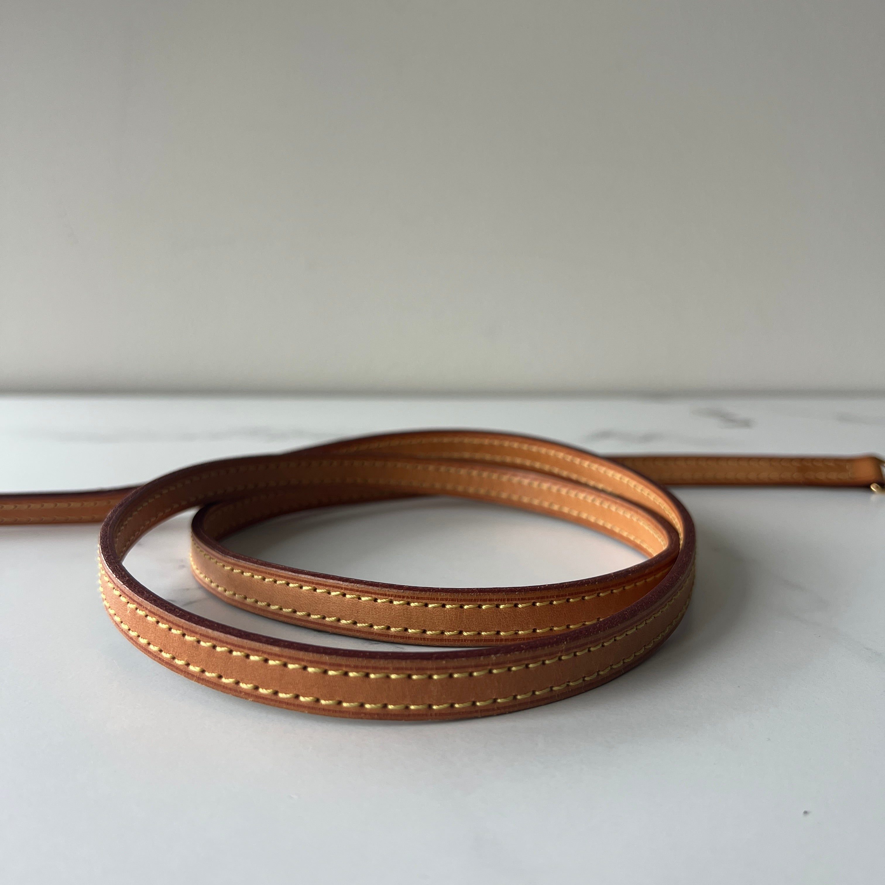 Louis Vuitton Eva Clutch