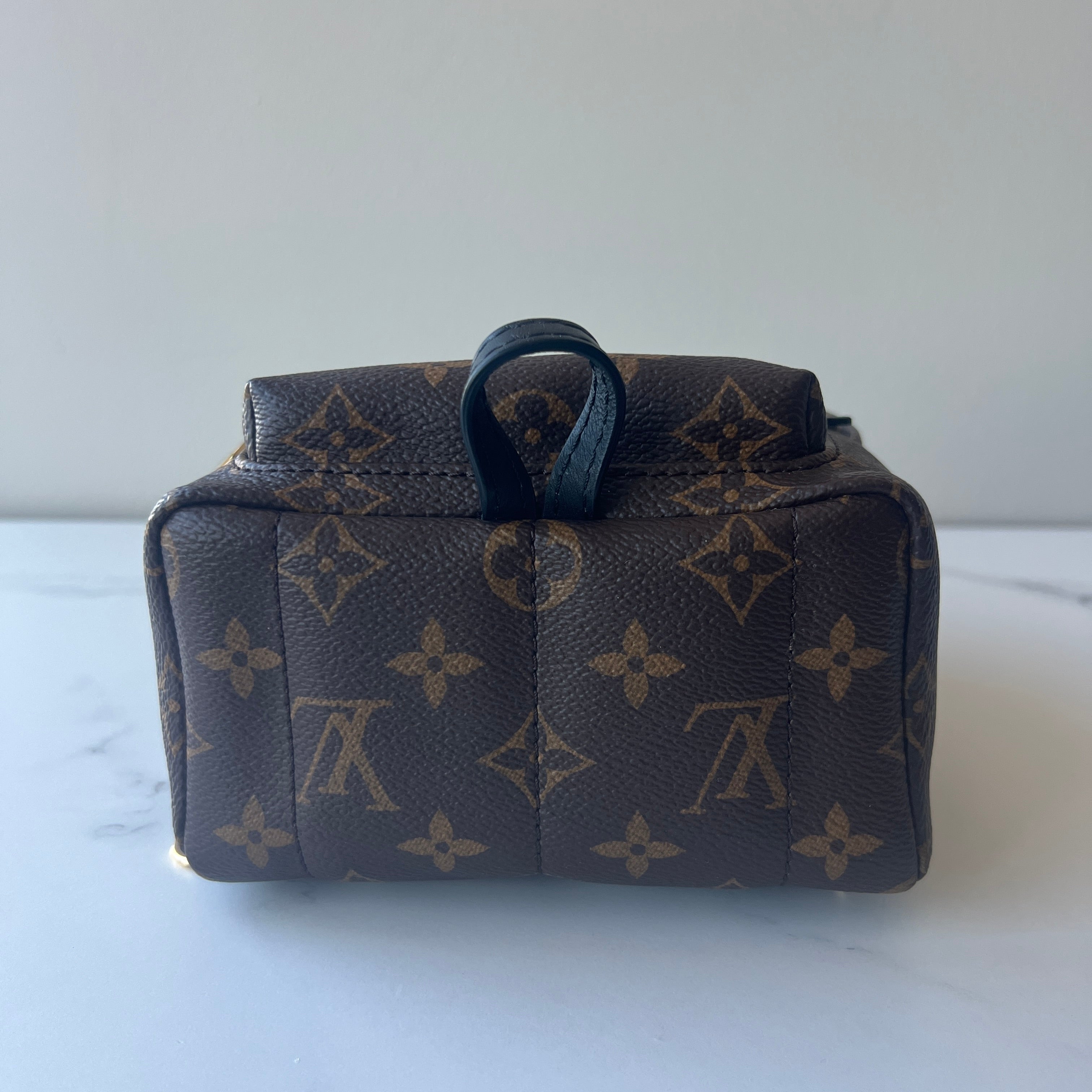 Louis Vuitton Palm Springs Mini